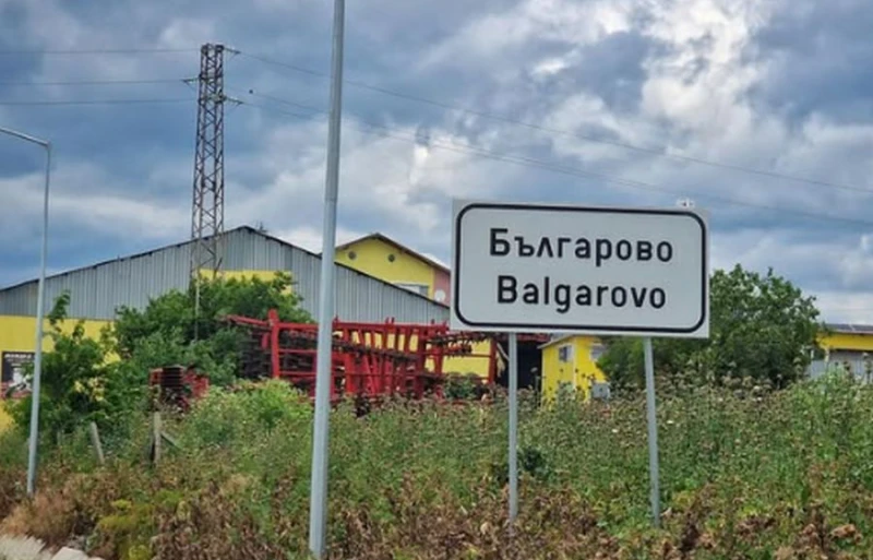 Убийство на куче разтърси Българово