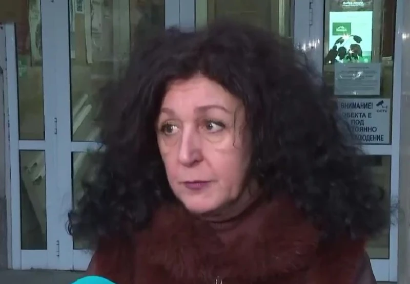 Директорът на ПП "Витоша" след фаталния инцидент: Дървото е било изгнило отвътре, но това при проверката няма как да бъде установено