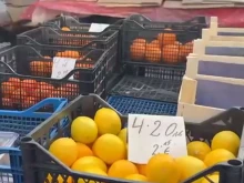 Продавачка на сергия в Пловдив: На борсата като ти кажат "Вместо 1 лев вече е 1 евро"?