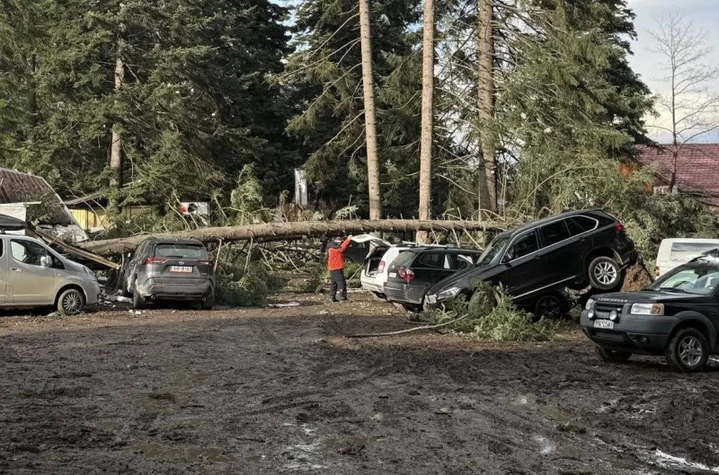 BG-ALERT се задейства, затвориха цялата ски зона в наш курорт