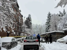 Снежен ад: Жена загина, след като над 10-метров бор падна върху нея в Сараево