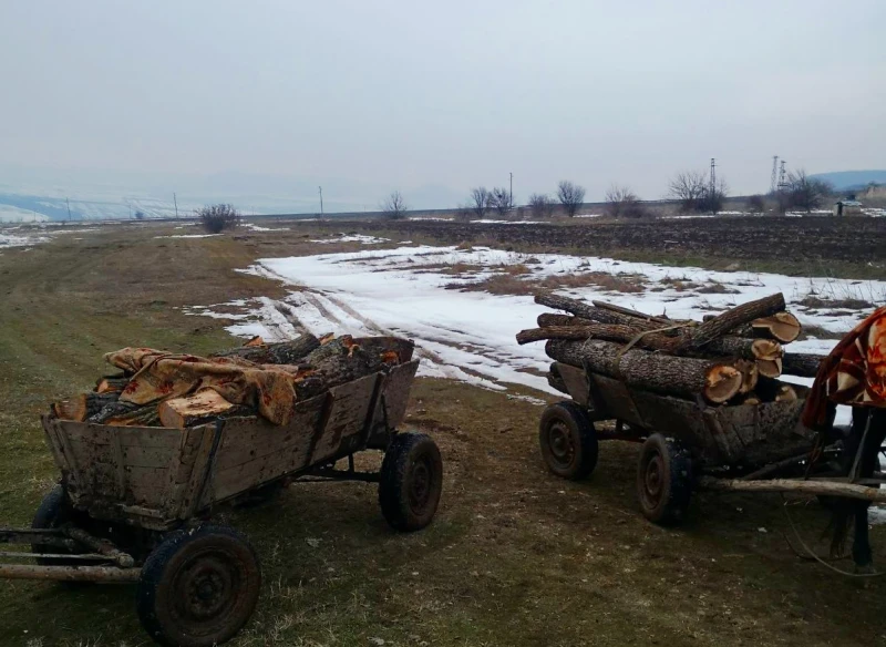 Над 25 000 проверки на горските територии в Северна България през миналата година