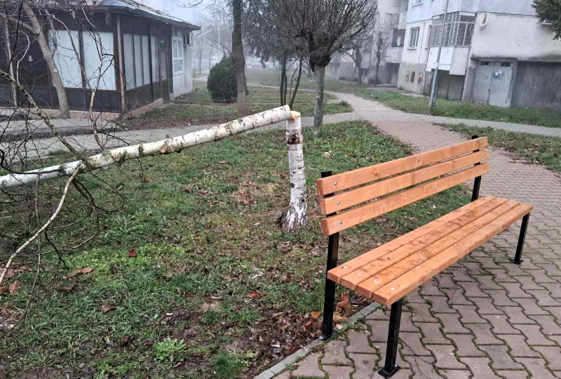 Незаконна сеч в парк във Велико Търново ще проверяват местни полицаи
