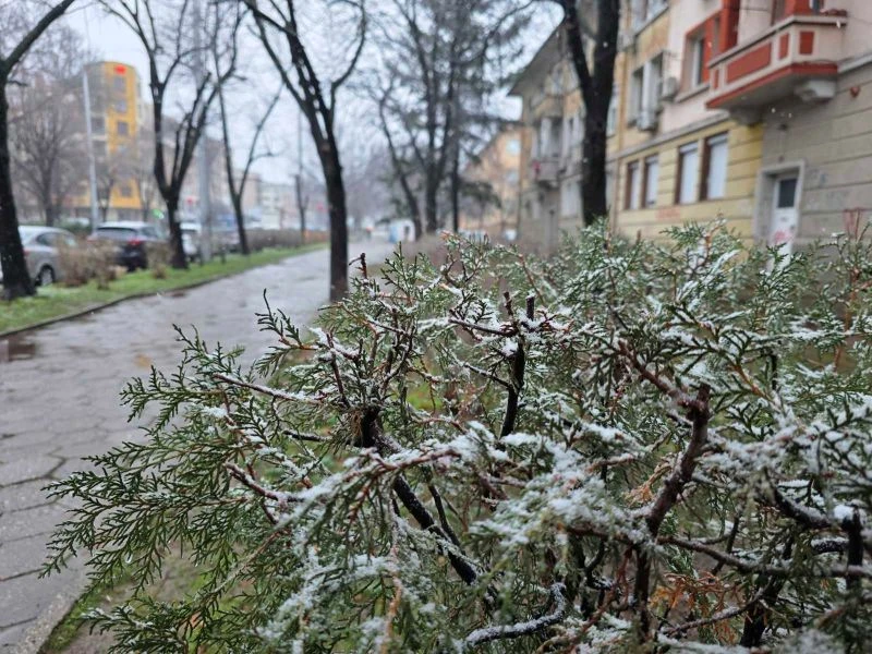 Първи сняг за зимата в Благоевград