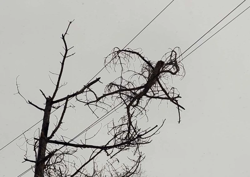 Електрозахранването в Две могили е напълно възстановено