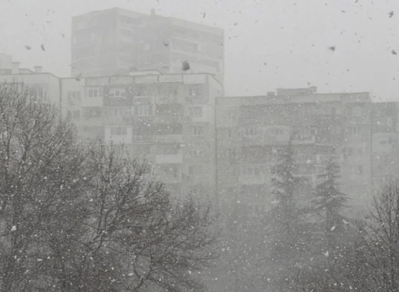 Meteo Balkans: Навлизаме във "фалшива зима"