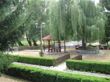 Родопската Хвойна чака своя звезден миг 