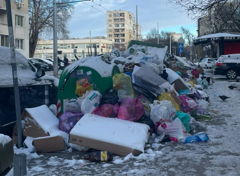 Жител на столичния "Хаджи Димитър": Добре, че е студено, за да не умрем от чума!