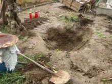 Доживотен затвор за българка, убила и заровила партньора си в Гърция