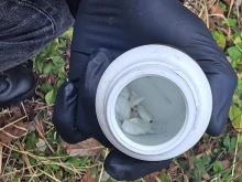 ��������� ���������� � �����, �������� ����� �� ������� � ����� �� �����