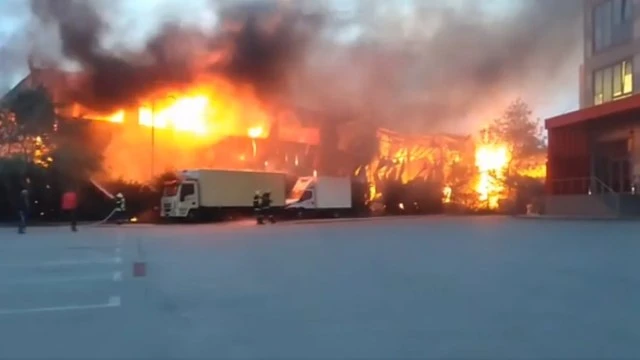 ����� �������� ����� � �������������, ������ �� ����������