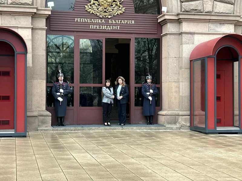 Омбудсманът Велислава Делчева пристигна в президенството