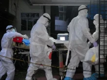 Какво трябва да знаем за смъртоносния вирус Нипа след появата на случаи в Индия?