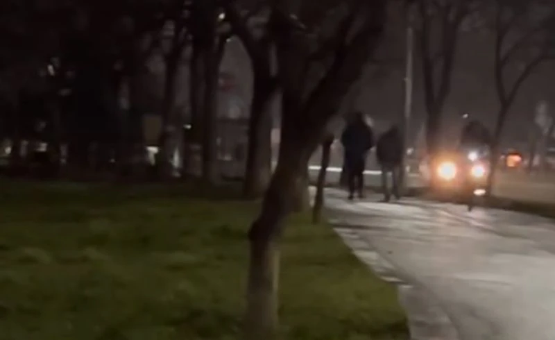 Пловдивчанка: Беше като във филм на ужасите!