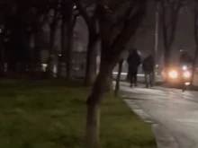 Пловдивчанка: Беше като във филм на ужасите!