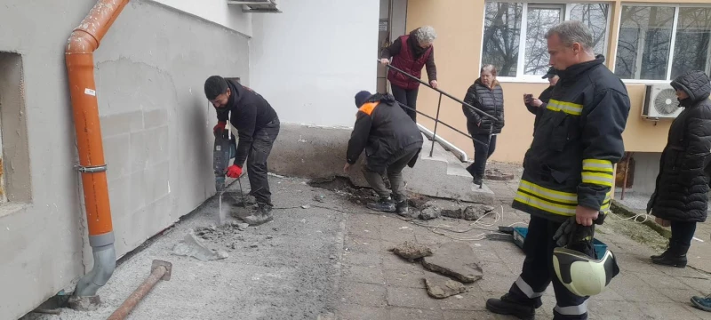 Спасиха коте, зазидано при саниране в блок в Бургас