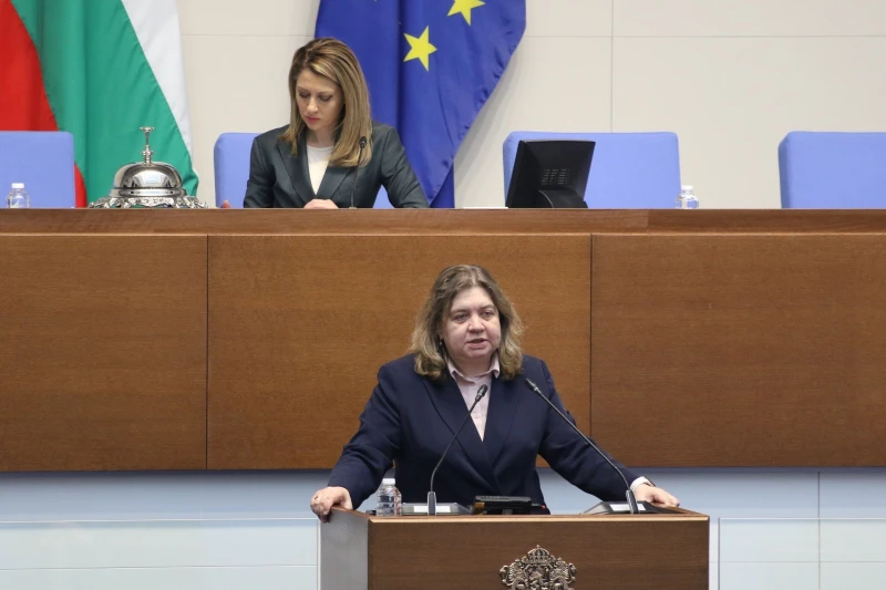 Наталия Киселова: Да искаме да се разкрива следствена тайна по случая "Петрохан" е грешка