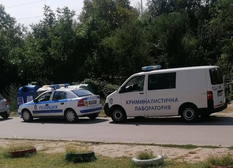 Разследват отравяне на кучета в Бобов дол