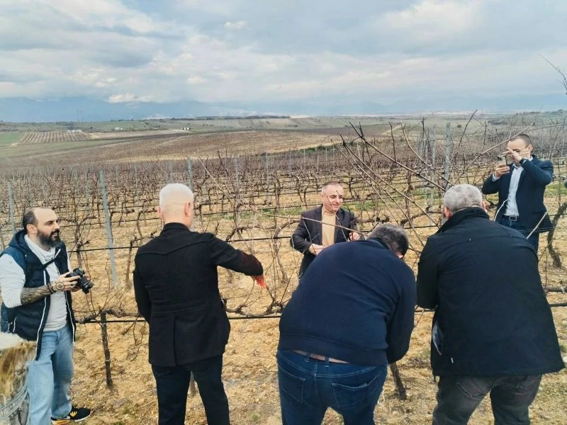 Зарязаха лозите край Сандански