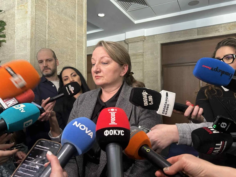 Деница Сачева: Стоил Цицелков е фалстарт за кабинета "Гюров" 
