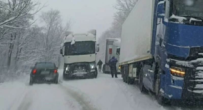 Камиони закъсаха край Монтана