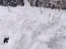 10 ���������� ���������������� �������� � �����