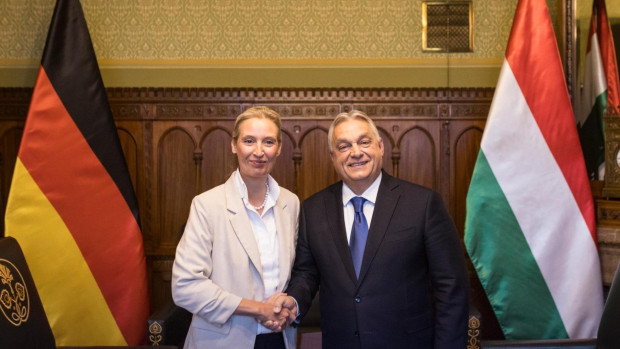 Лидерът на германската крайнодясна партия Алтернатива за Германия Алиса Вайдел