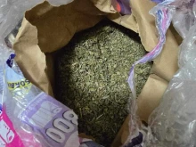 Криминално проявени мъж и жена бяха хванати с 200 грама друсан чай в Бургас
