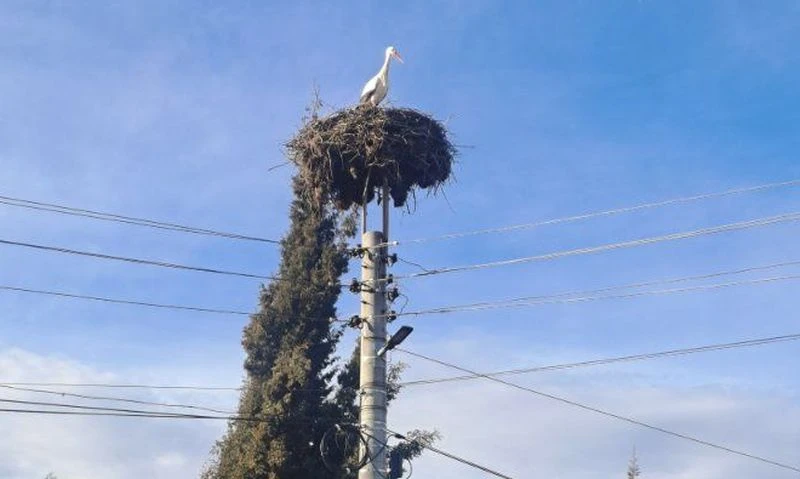 Двойна радост в голямо пловдивско село!