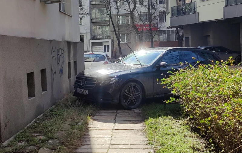 Нов наглец се появи в Пловдив
