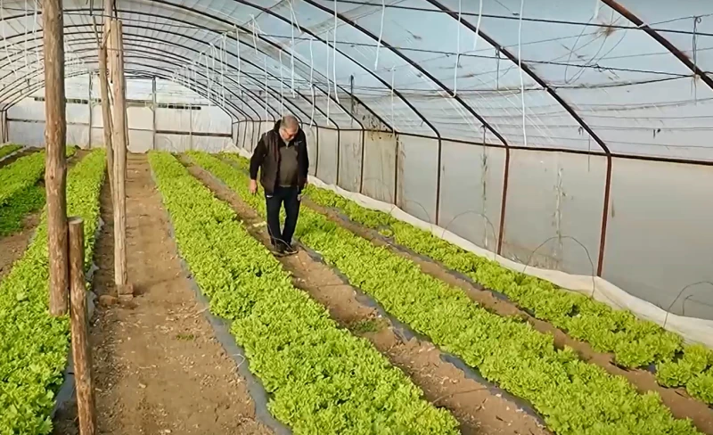 Производител от 40 години в пловдивско село: Цената на семената и торовете се увеличи със 100%