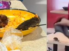 ���� ����� � ������� �� �������� � ���������