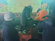 БАБХ: Продължава последващият официален контрол върху пратката слънчоглед от Аржентина