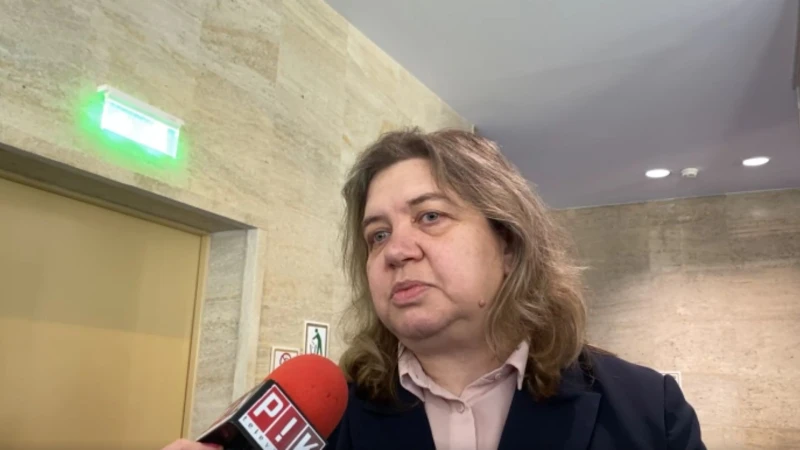 Наталия Киселова: Няма пряка заплаха за България, има асиметрична такава!
