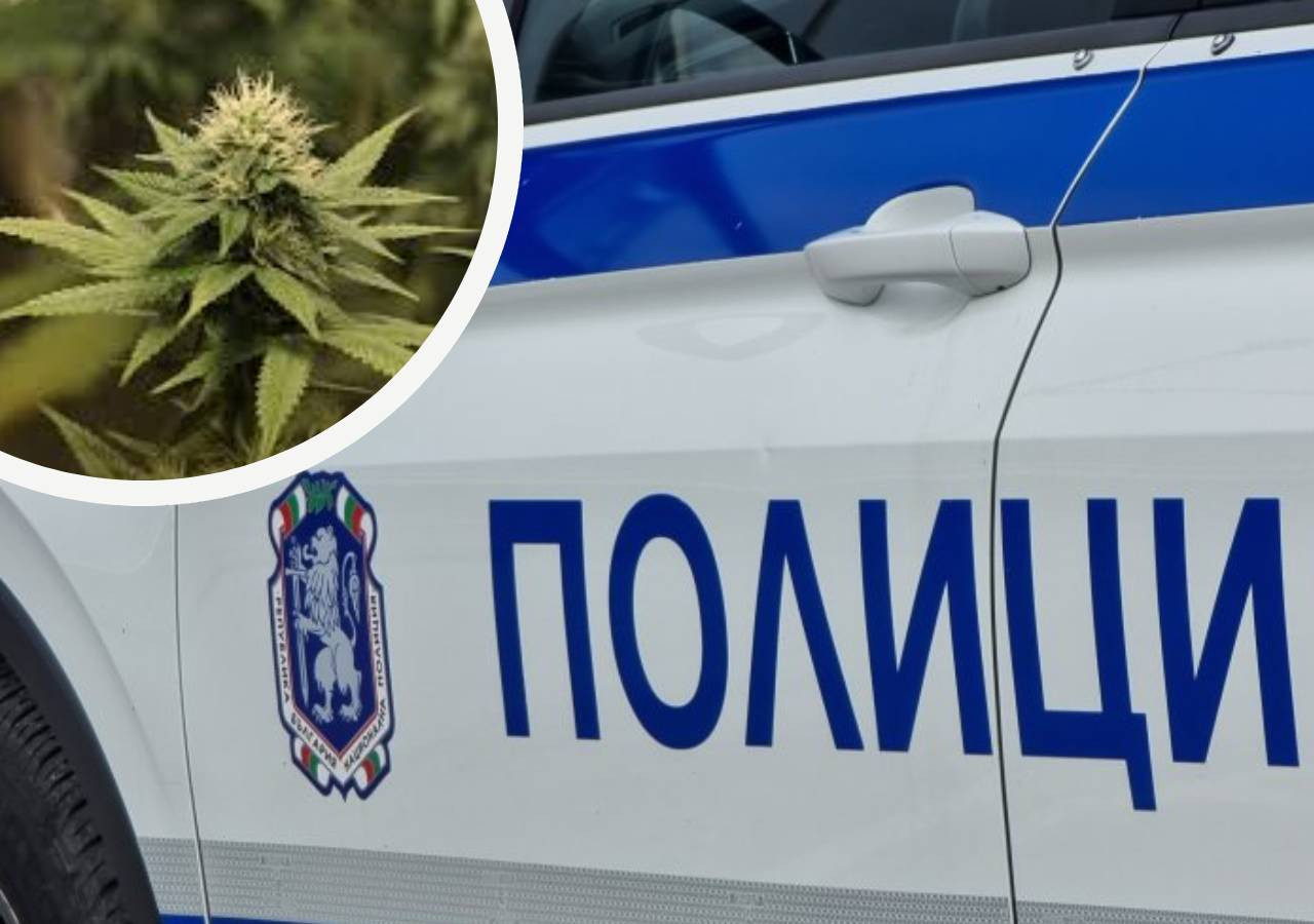 Двама украински младежи съответно на 18 и 15 години бяха