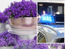 61-годишна жена задигна саксии с цветя за около 1000 евро в Несебър