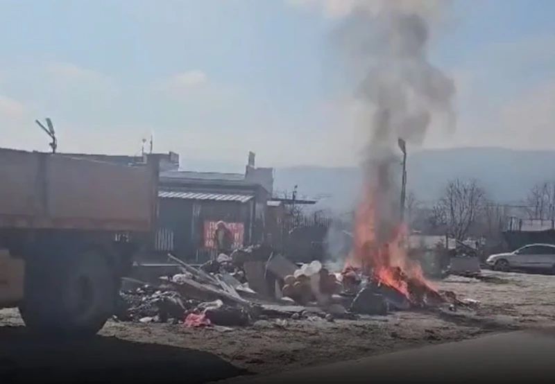 Пожар гори до Околовръстното на Пловдив