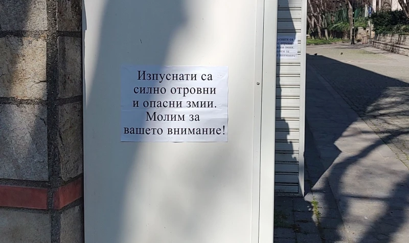 Изпуснати са силно отровни и опасни змии: С бележки предупредиха пловдивчани