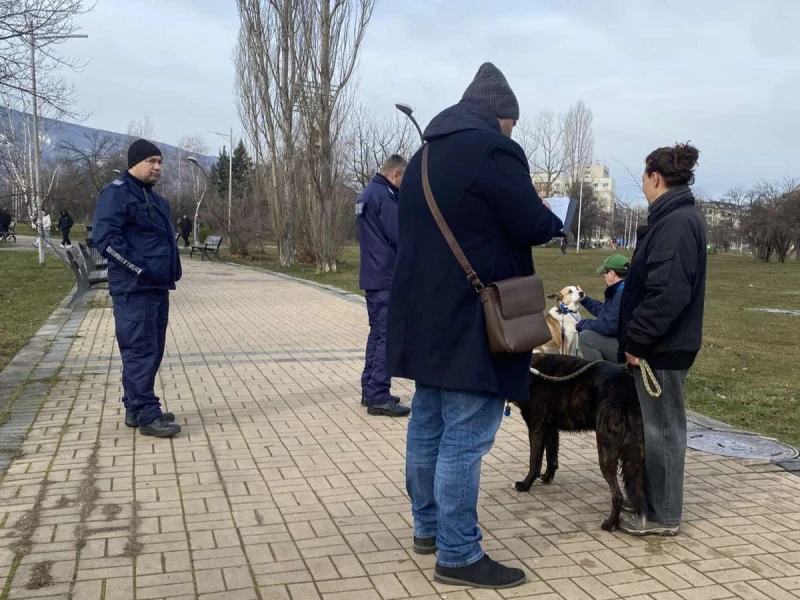 Над 340 проверки от началото на годината: Столичният инспекторат глобява стопани на кучета