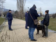 Над 340 проверки от началото на годината: Столичният инспекторат глобява стопани на кучета