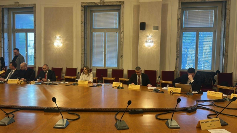 След колебанията "да бъде или да не бъде": Митова свика извънредно заседание на енергийната комисия, но не събра кворум 