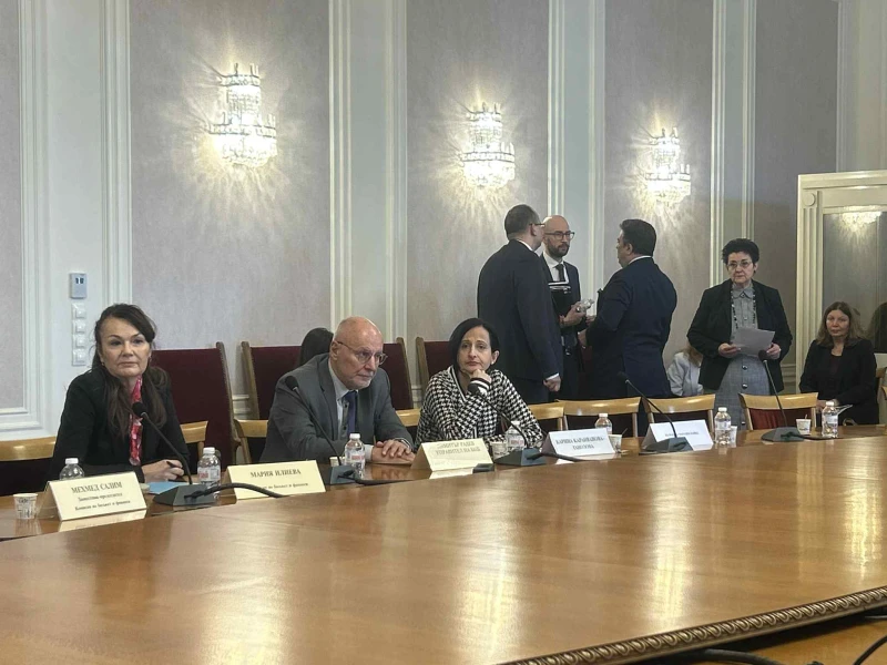 Карина Караинова: Няма да приема да бъда служебен премиер! 