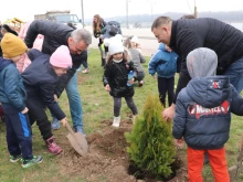 Десетки деца и техните родители засадиха дръвчета на кея в Русе