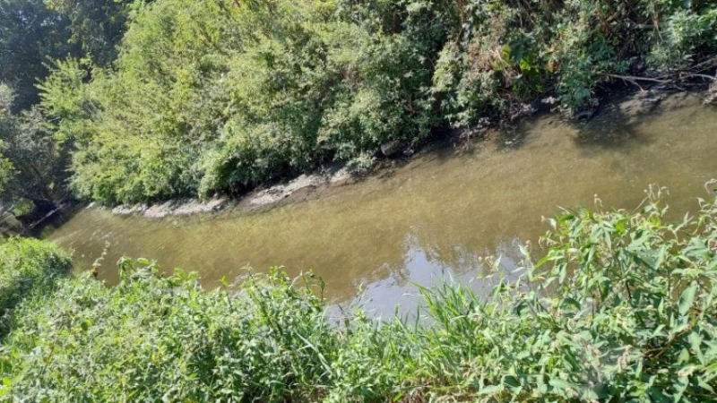 Мандра замърсява водоем в Разградско