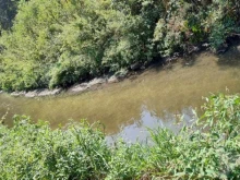 Мандра замърсява водоем в Разградско