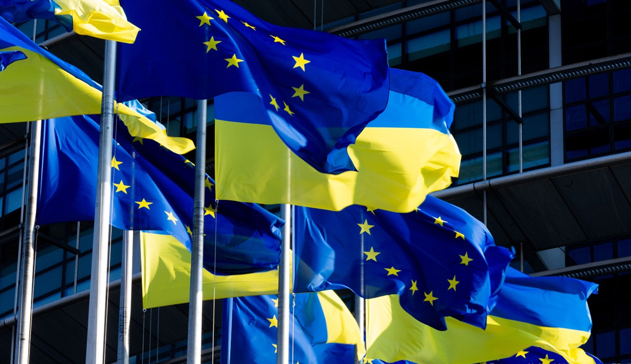 Някои държави членки на Европейския съюз изискват да се проверят реформите