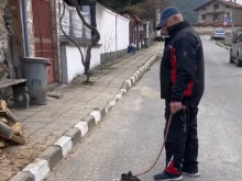 Жестокост към куче разтърси жителите на село Овчарци