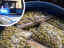 Полицията в Бургас залови 15 кг марихуана, намерено е и оборудване за отглеждане