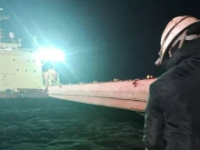 БАБХ откри двойно количество пестициди над нормата и в третия кораб със слънчоглед от Аржентина