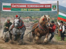 Отменя се традиционното състезание с тежковозни коне край Крупник